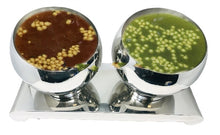 Charger l&#39;image dans la galerie, Stainless Steel Pani-Puri Matka Set, 2 in 1 Set, Premium Tabletop Utensils for Catering Services
