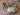 Pure Kansa Thali Set comes with Lead Free, 6 Pieces, Health Benefits, Indian Dinnerware