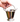 Stainless Steel Polish Finish Serving Balti #2, 650 ML